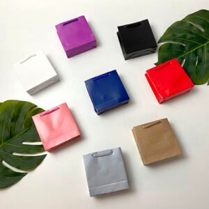 Sacola de Papel 10x10x4 com 10 unidades Premium S0