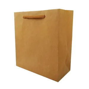 Sacola de Papel KRAFT 10x10x4 com 10 unidades Premium S0