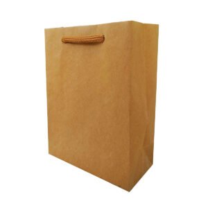 Sacola De Papel Kraft 21x27x10 C/ 10 Unidades premium S3