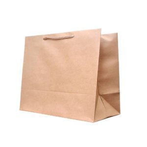 Sacola De Papel 30x30x18 C/ 10 Unidades S7